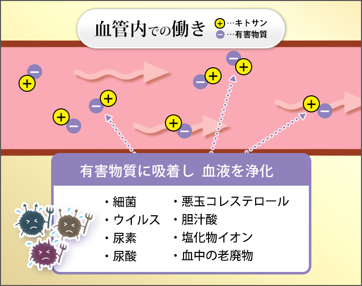 キトサン３