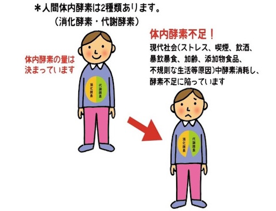 酵素1