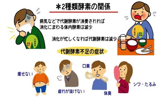 酵素3