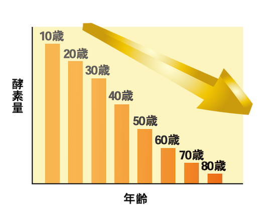 酵素5